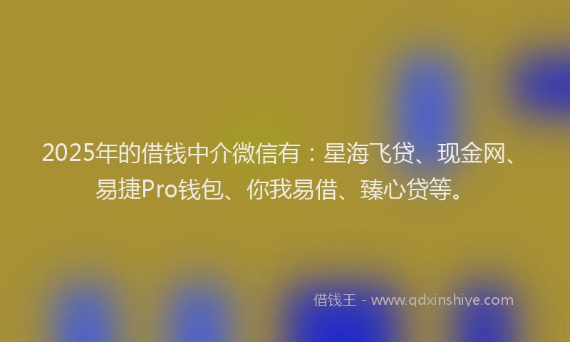2025年的借钱中介微信有：星海飞贷、现金网、易捷Pro钱包、你我易借、臻心贷等。