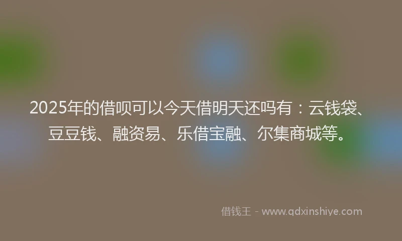 2025年的借呗可以今天借明天还吗有：云钱袋、豆豆钱、融资易、乐借宝融、尔集商城等。