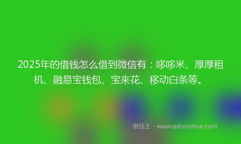2025年的借钱怎么借到微信有：哆哆米、厚厚租机、融易宝钱包、宝来花、移动白条等。