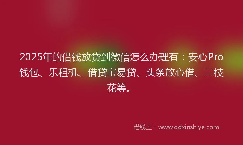 2025年的借钱放贷到微信怎么办理有：安心Pro钱包、乐租机、借贷宝易贷、头条放心借、三枝花等。
