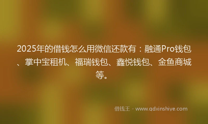 2025年的借钱怎么用微信还款有：融通Pro钱包、掌中宝租机、福瑞钱包、鑫悦钱包、金鱼商城等。