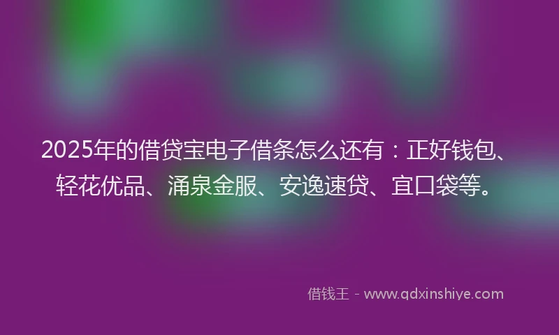 2025年的借贷宝电子借条怎么还有：正好钱包、轻花优品、涌泉金服、安逸速贷、宜口袋等。