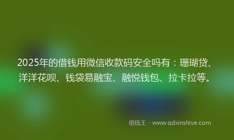 2025年的借钱用微信收款码安全吗有：珊瑚贷、洋洋花呗、钱袋易融宝、融悦钱包、拉卡拉等。