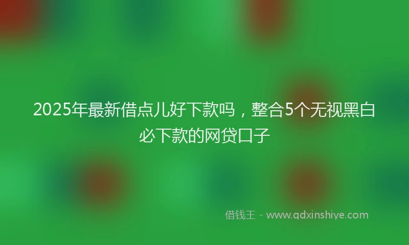 2025年最新借点儿好下款吗，整合5个无视黑白必下款的网贷口子