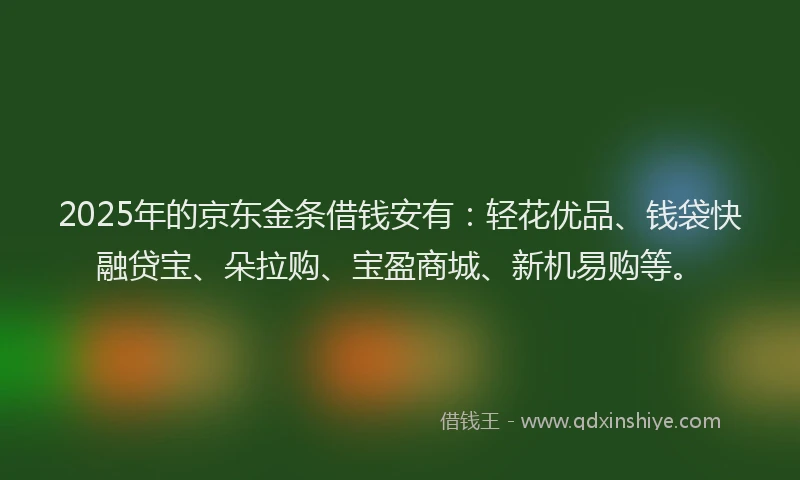 2025年的京东金条借钱安有：轻花优品、钱袋快融贷宝、朵拉购、宝盈商城、新机易购等。