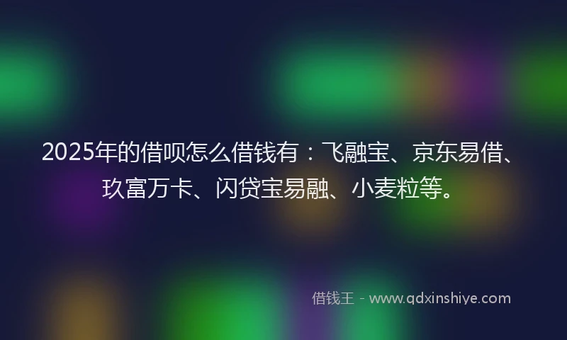 2025年的借呗怎么借钱有：飞融宝、京东易借、玖富万卡、闪贷宝易融、小麦粒等。