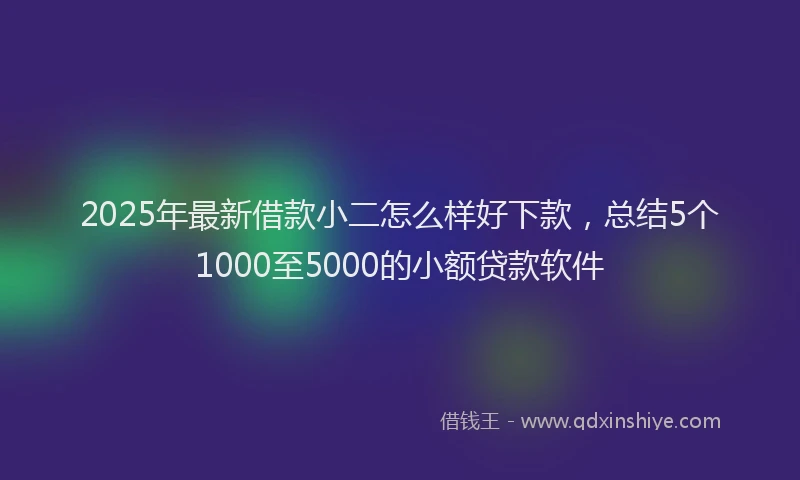 2025年最新借款小二怎么样好下款，总结5个1000至5000的小额贷款软件