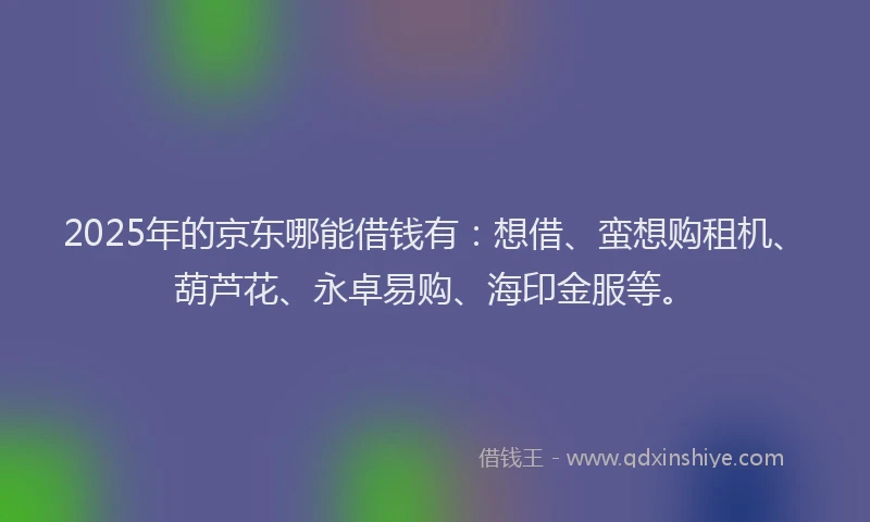 2025年的京东哪能借钱有：想借、蛮想购租机、葫芦花、永卓易购、海印金服等。