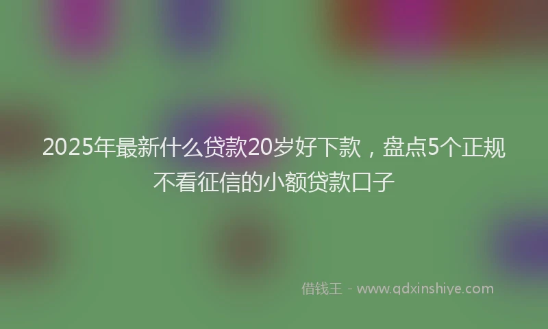 2025年最新什么贷款20岁好下款，盘点5个正规不看征信的小额贷款口子