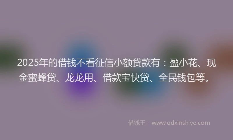 2025年的借钱不看征信小额贷款有：盈小花、现金蜜蜂贷、龙龙用、借款宝快贷、全民钱包等。