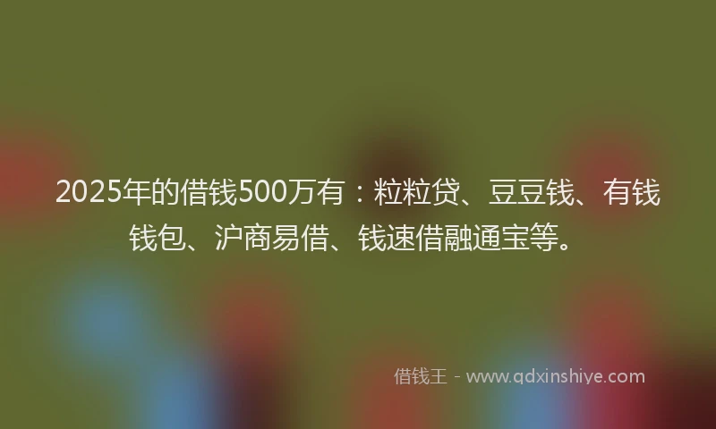 2025年的借钱500万有：粒粒贷、豆豆钱、有钱钱包、沪商易借、钱速借融通宝等。