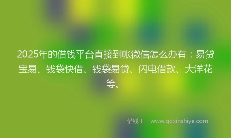 2025年的借钱平台直接到帐微信怎么办有：易贷宝易、钱袋快借、钱袋易贷、闪电借款、大洋花等。