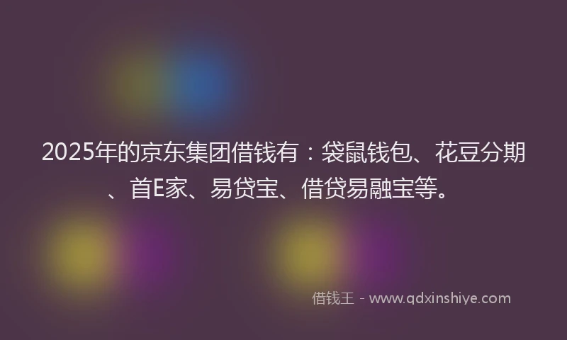 2025年的京东集团借钱有：袋鼠钱包、花豆分期、首E家、易贷宝、借贷易融宝等。