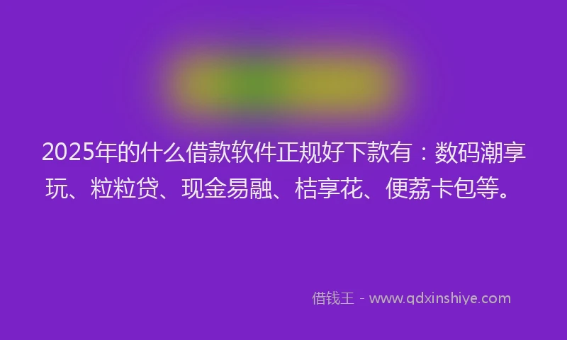 2025年的什么借款软件正规好下款有：数码潮享玩、粒粒贷、现金易融、桔享花、便荔卡包等。
