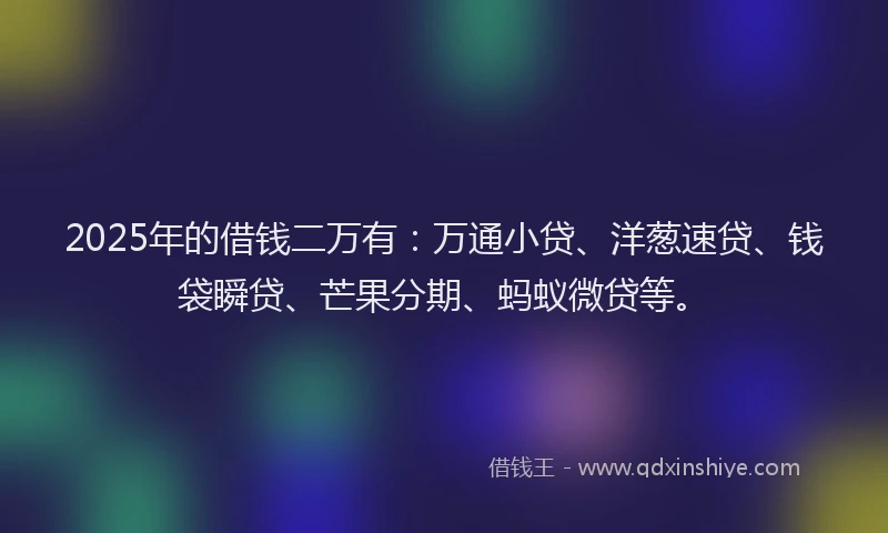 2025年的借钱二万有：万通小贷、洋葱速贷、钱袋瞬贷、芒果分期、蚂蚁微贷等。