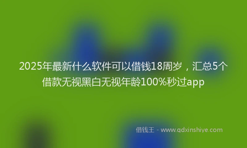 2025年最新什么软件可以借钱18周岁，汇总5个借款无视黑白无视年龄100%秒过app