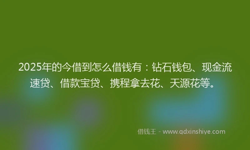 2025年的今借到怎么借钱有：钻石钱包、现金流速贷、借款宝贷、携程拿去花、天源花等。