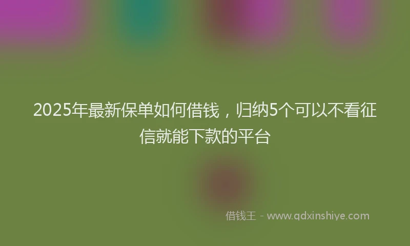 2025年最新保单如何借钱，归纳5个可以不看征信就能下款的平台
