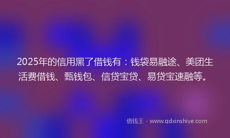 2025年的信用黑了借钱有：钱袋易融途、美团生活费借钱、甄钱包、信贷宝贷、易贷宝速融等。