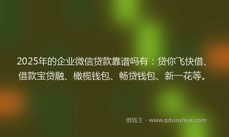 2025年的企业微信贷款靠谱吗有：贷你飞快借、借款宝贷融、橄榄钱包、畅贷钱包、新一花等。