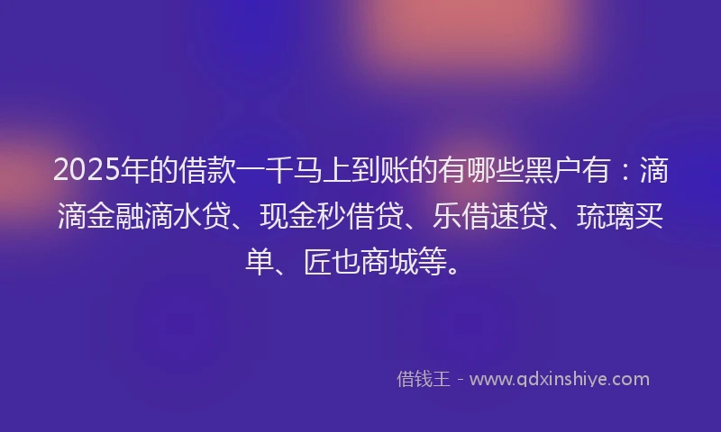 2025年的借款一千马上到账的有哪些黑户有：滴滴金融滴水贷、现金秒借贷、乐借速贷、琉璃买单、匠也商城等。