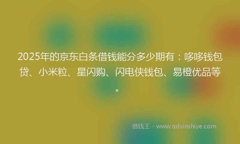2025年的京东白条借钱能分多少期有：哆哆钱包贷、小米粒、星闪购、闪电侠钱包、易橙优品等。