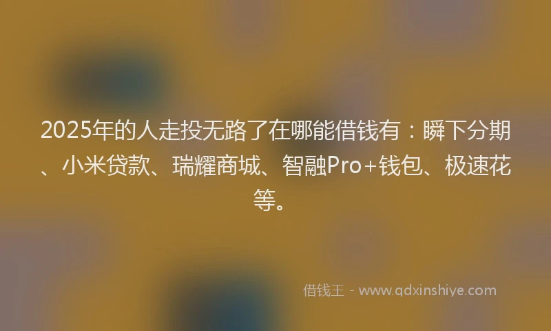 2025年的人走投无路了在哪能借钱有：瞬下分期、小米贷款、瑞耀商城、智融Pro+钱包、极速花等。