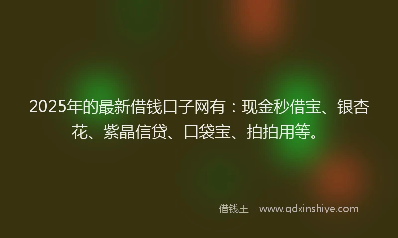 2025年的最新借钱口子网有：现金秒借宝、银杏花、紫晶信贷、口袋宝、拍拍用等。