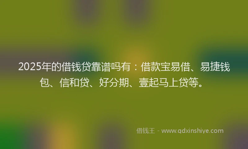 2025年的借钱贷靠谱吗有：借款宝易借、易捷钱包、信和贷、好分期、壹起马上贷等。