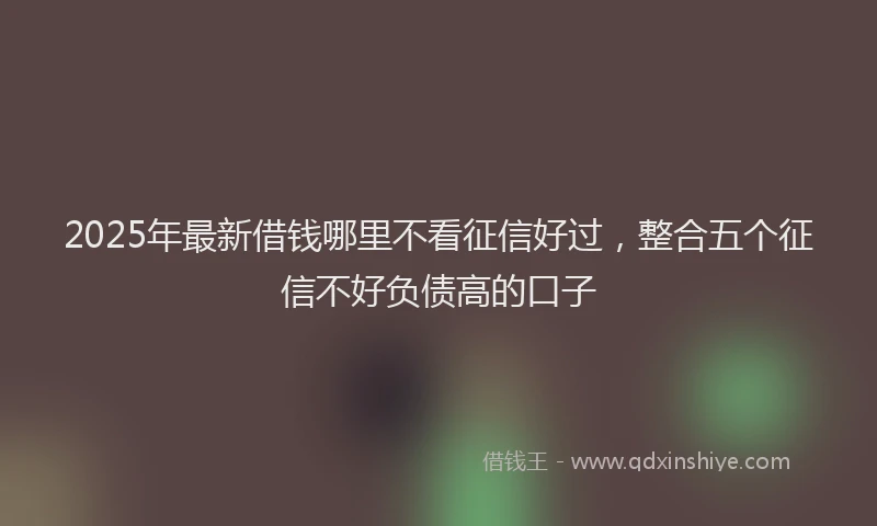 2025年最新借钱哪里不看征信好过，整合五个征信不好负债高的口子