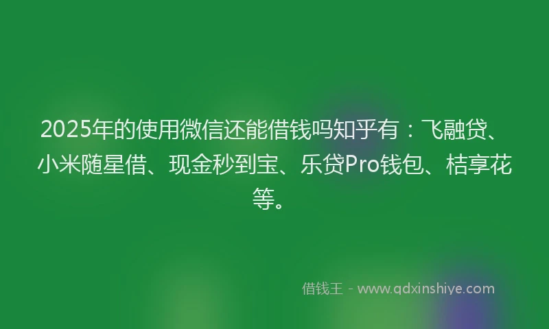 2025年的使用微信还能借钱吗知乎有：飞融贷、小米随星借、现金秒到宝、乐贷Pro钱包、桔享花等。