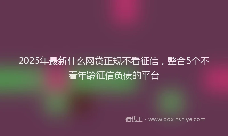 2025年最新什么网贷正规不看征信，整合5个不看年龄征信负债的平台