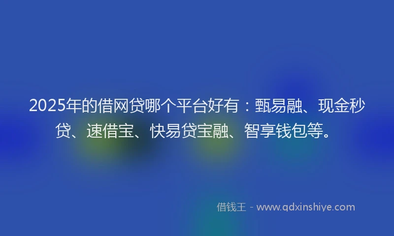 2025年的借网贷哪个平台好有：甄易融、现金秒贷、速借宝、快易贷宝融、智享钱包等。