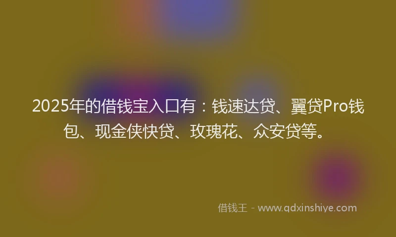 2025年的借钱宝入口有：钱速达贷、翼贷Pro钱包、现金侠快贷、玫瑰花、众安贷等。