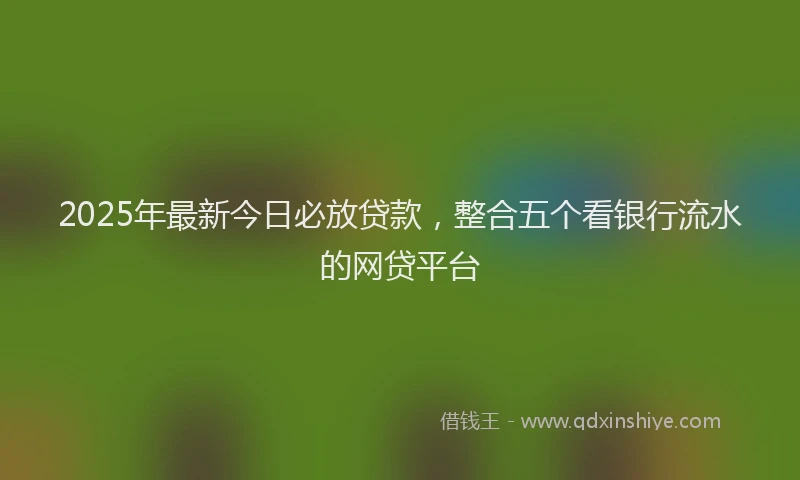 2025年最新今日必放贷款，整合五个看银行流水的网贷平台