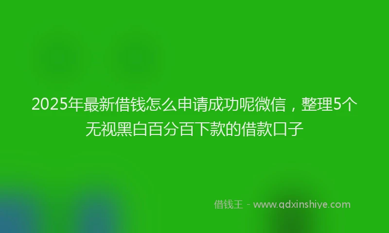 2025年最新借钱怎么申请成功呢微信，整理5个无视黑白百分百下款的借款口子