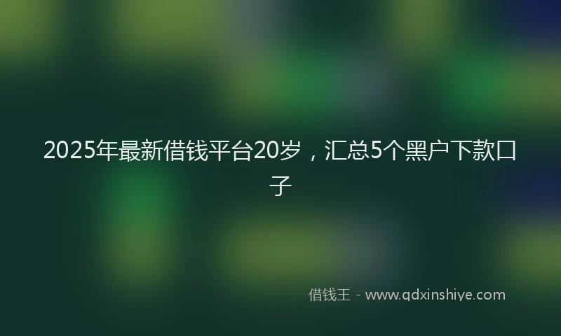 2025年最新借钱平台20岁，汇总5个黑户下款口子