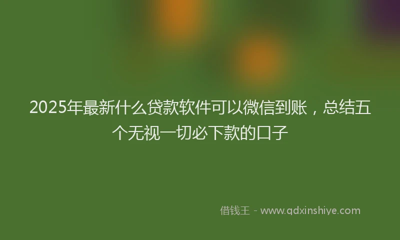2025年最新什么贷款软件可以微信到账，总结五个无视一切必下款的口子