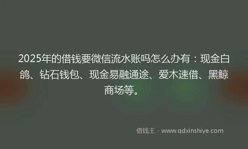 2025年的借钱要微信流水账吗怎么办有：现金白鸽、钻石钱包、现金易融通途、爱木速借、黑鲸商场等。