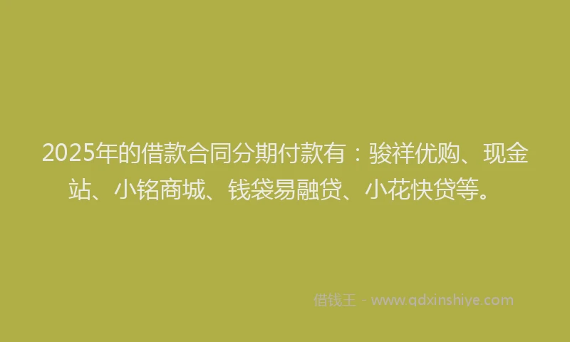 2025年的借款合同分期付款有：骏祥优购、现金站、小铭商城、钱袋易融贷、小花快贷等。