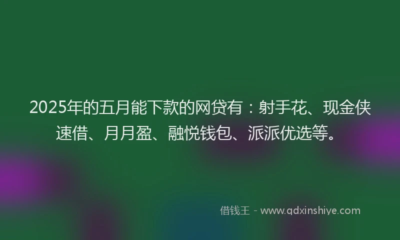 2025年的五月能下款的网贷有：射手花、现金侠速借、月月盈、融悦钱包、派派优选等。