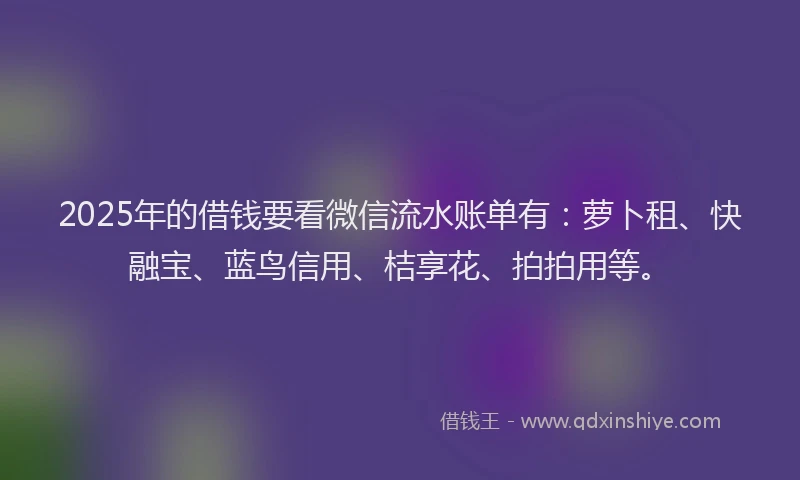 2025年的借钱要看微信流水账单有：萝卜租、快融宝、蓝鸟信用、桔享花、拍拍用等。