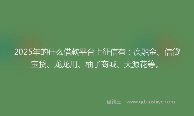 2025年的什么借款平台上征信有：疾融金、信贷宝贷、龙龙用、柚子商城、天源花等。