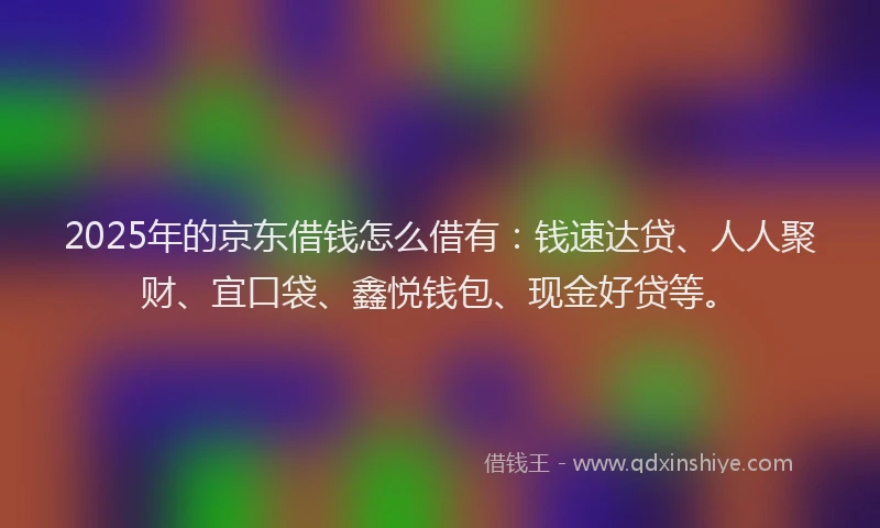 2025年的京东借钱怎么借有：钱速达贷、人人聚财、宜口袋、鑫悦钱包、现金好贷等。