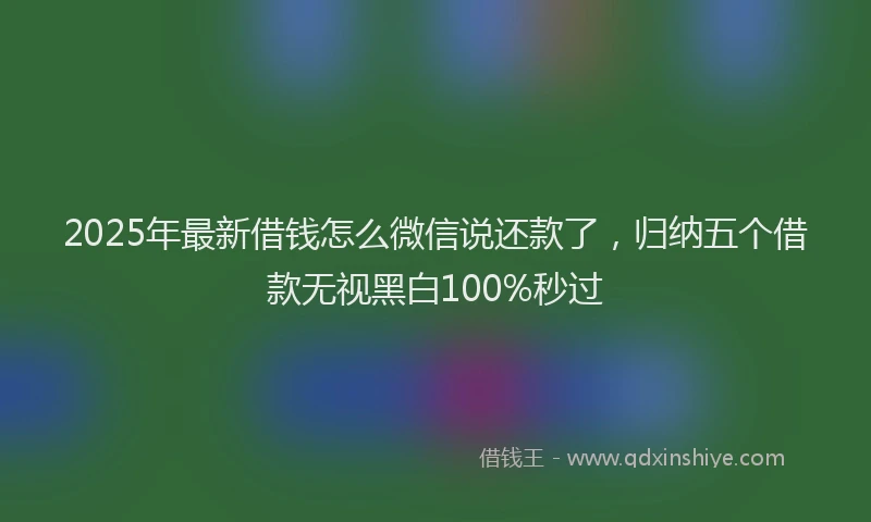 2025年最新借钱怎么微信说还款了，归纳五个借款无视黑白100%秒过
