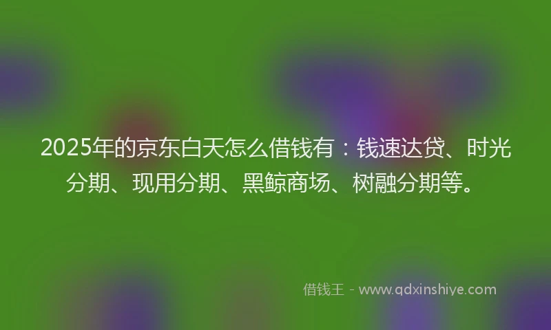 2025年的京东白天怎么借钱有：钱速达贷、时光分期、现用分期、黑鲸商场、树融分期等。