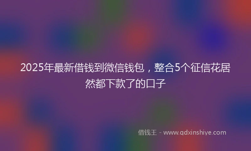 2025年最新借钱到微信钱包，整合5个征信花居然都下款了的口子