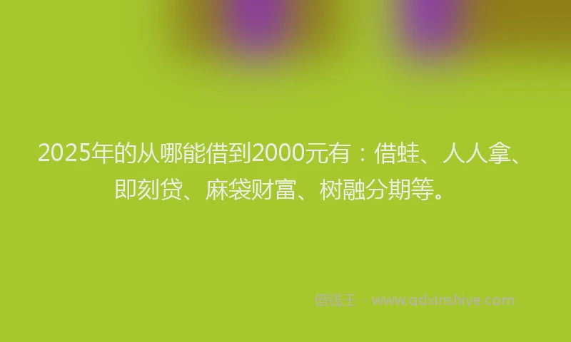 2025年的从哪能借到2000元有：借蛙、人人拿、即刻贷、麻袋财富、树融分期等。