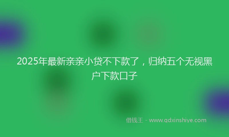 2025年最新亲亲小贷不下款了，归纳五个无视黑户下款口子