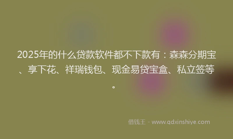 2025年的什么贷款软件都不下款有：森森分期宝、享下花、祥瑞钱包、现金易贷宝盒、私立签等。